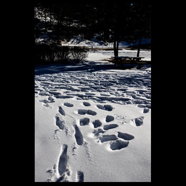 PHOTO84, CLUB, 84 , LUBERON